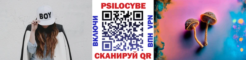 купить   мориарти наркотические препараты  Галлюциногенные грибы Psilocybe  Саратов 