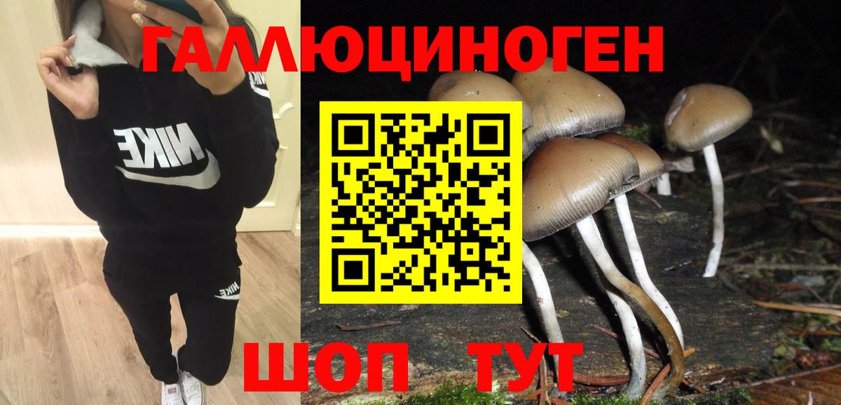 Псилоцибиновые грибы прущие грибы Саратов