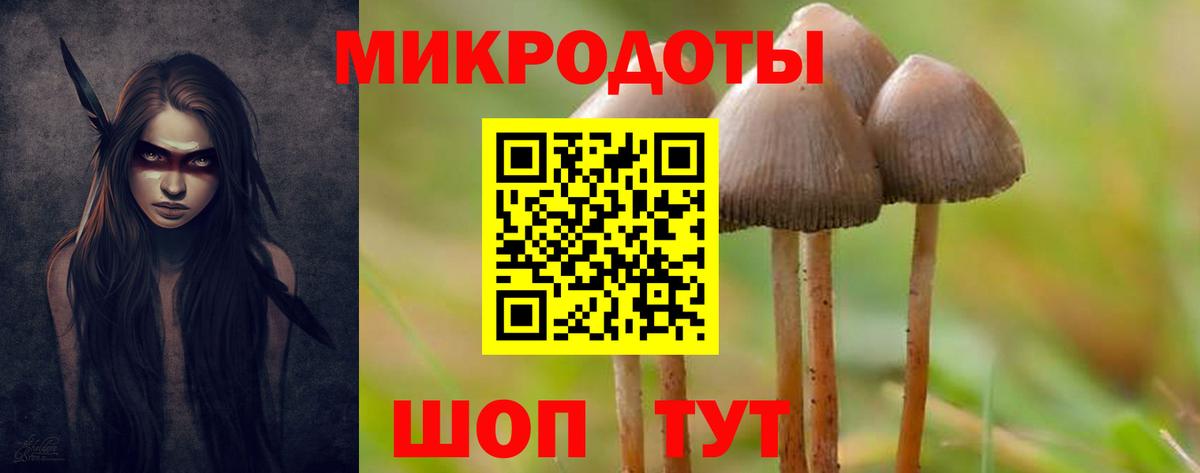 продажа наркотиков  Псилоцибиновые грибы мицелий  Вход с VPN  Саратов  Псилоцибиновые грибы Magic Shrooms 